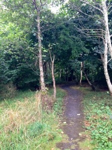 20130909-114627.jpg