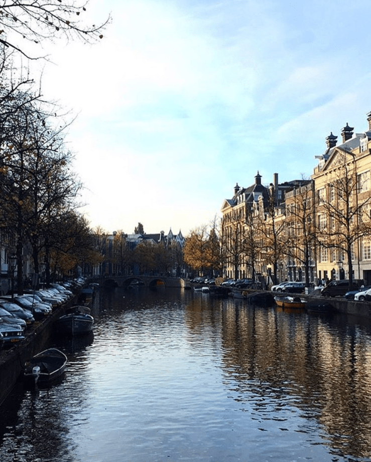 screen-shot-2017-01-01-at-12-21-29