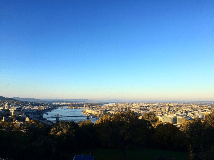 screen-shot-2017-01-01-at-12-21-41