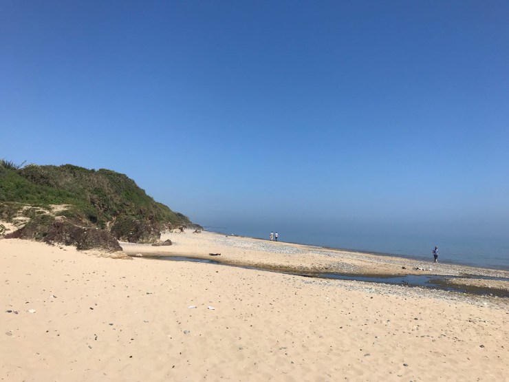 5e35e484-fe2e-4795-9cb5-e2f49a700c8e