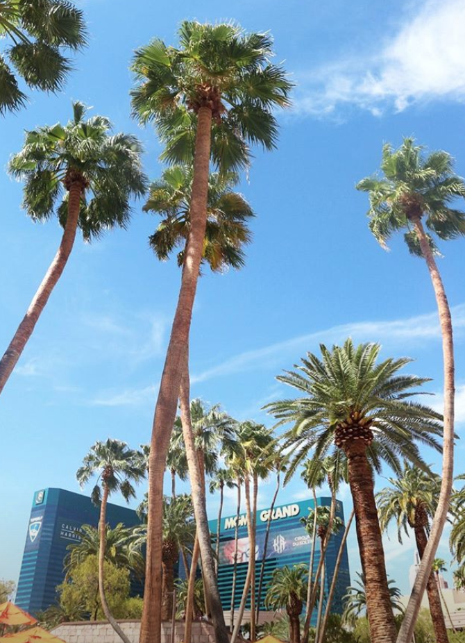 Screen Shot 2018-09-24 at 22.01.16